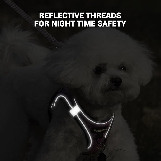 Dog Harness and Leash Set, Dog Harness for Dogs No Pull, No-Chock Step-in Reflective Breathable Lightweight Easy Walk Vest Harnesses with Safety Buckle for Small Medium Dogs, Cats (Light Purple, M)