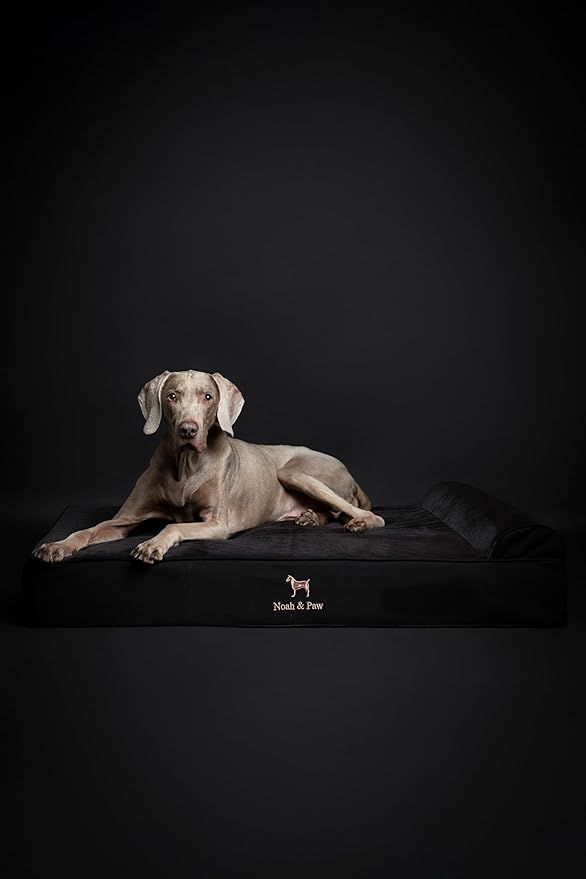 NOAH & PAW XL Dog Bed, 45x35x9.1 Inch, Orthopedic Large Dog Beds, Eggshell Memory Foam Infused with Cooling Gel, Waterproof, Machine Washable, Includes Inner Cover (Denim Collection)