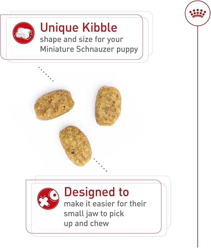 Royal Canin Breed Health Nutrition Miniature Schnauzer Puppy Dry Dog Food, 2.5 lb Bag