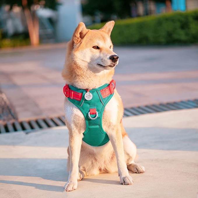 PHOEPET No Pull Dog Harness, Unique Colors Reflective Adjustable Dog Vest, with Soft Training Handle Metal Clips for Small Medium Large Dogs (Dark Green Base & Red Straps,XL)