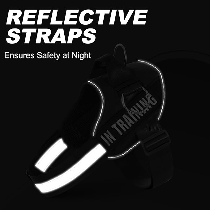 Essential Dog Harness with 3 Leash Clips - No-Pull, Adjustable, Comfortable Pet Vest Harness for Small to Large Dogs - Easy On, No Choke, Reflective, Padded Harness for Walking and Training