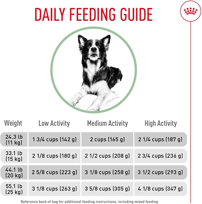Royal Canin Medium Digestive Care Dry Dog Food, 30 lb bag