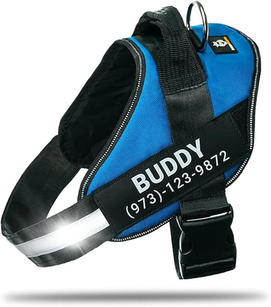 Personalized No-Pull Dog Harness with Name Patch, Adjustable, Reflective, Padded, Heavy Duty Pet Vest to Prevent Tugging, Pulling, or Choking, Training and Walking, Blue, 2XL