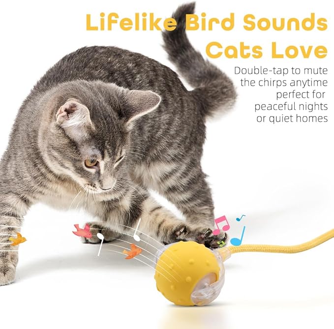 Interactive Cat Toys Ball for Indoor Cats with Elastic Mesh Net Tails – 3 Working Modes for Agile Movement, Motion Activated, USB-C Rechargeable, Ideal for Indoor Cats (Yellow)