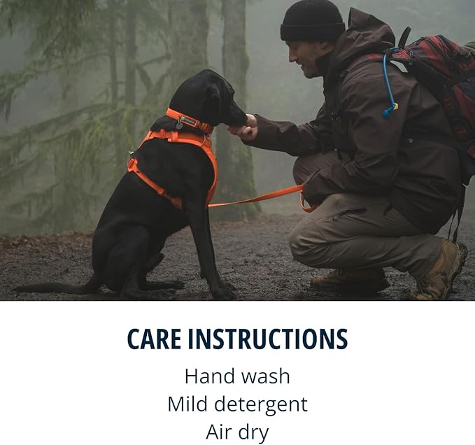 Ruffwear, Front Range Dog Harness, Reflective Soft Padded Everyday Harness with Dual Leash Clips, Adjustable and Lightweight Fit for Training or Walking for All Dogs, Blaze Orange, Medium