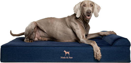 NOAH & PAW XL Dog Bed, 45x35x9.1 Inch, Orthopedic Large Dog Beds, Eggshell Memory Foam Infused with Cooling Gel, Waterproof, Machine Washable, Includes Inner Cover (Denim Collection)