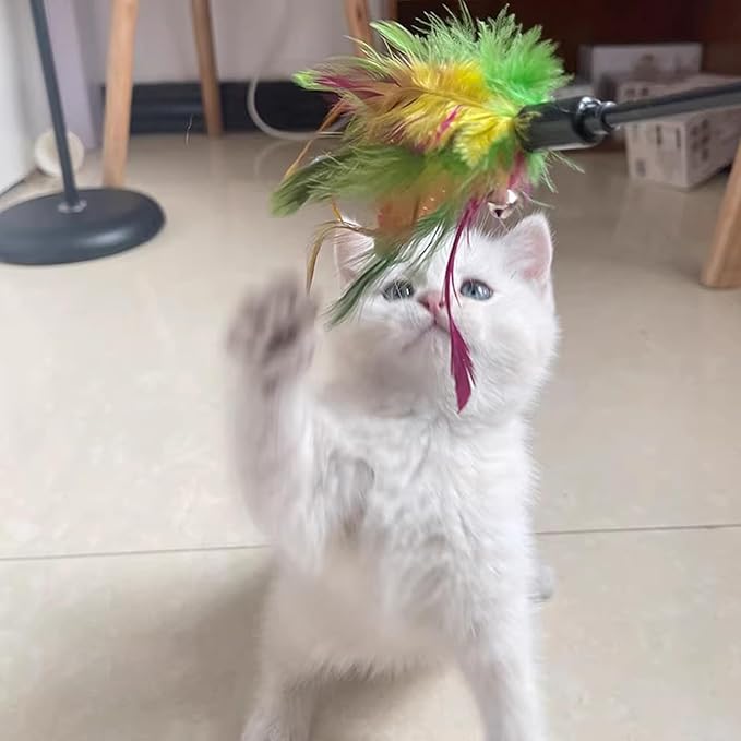 Cat Wand, 4 PCS Interactive Feather Stick Flexible Kitten Wand Safe Cat Teaser Wand for Indoor, All Breed Sizes