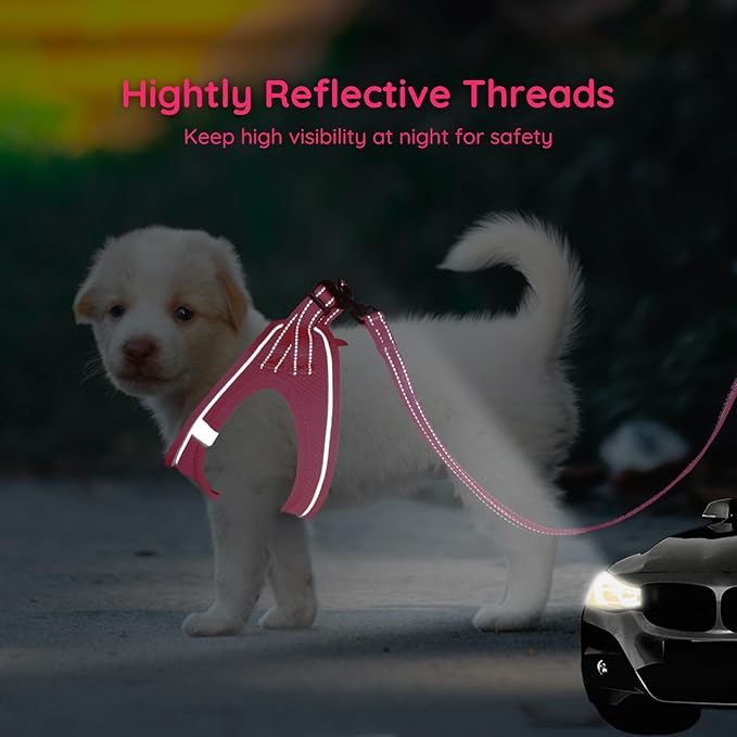 BELLA & PAL Step in Vest Harness for Small and Medium Dogs, No Pull Small Dog Harness with Leash Set, Comfortable Air Mesh Dog Vest Harness with Reflective Strip (Hot Pink, XS)