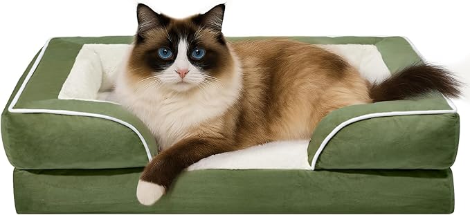 Comfort Expression Orthopedic Dog Bed for Small Dogs 20x14 Inch, Waterproof Supportive Egg Crate Foam Small Pet Bed with Removable Bolster, Dog Couch with Washable Cover & Non-Slip Bottom, Light Green