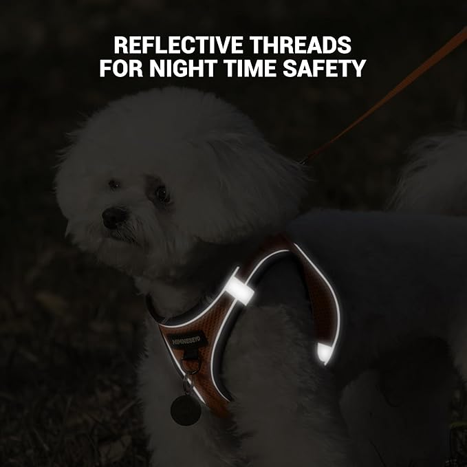 Dog Harness and Leash Set, Dog Harness for Dogs No Pull, No-Chock Step-in Reflective Breathable Lightweight Easy Walk Vest Harnesses with Safety Buckle for Small Medium Dogs, Cats (Orange, L)