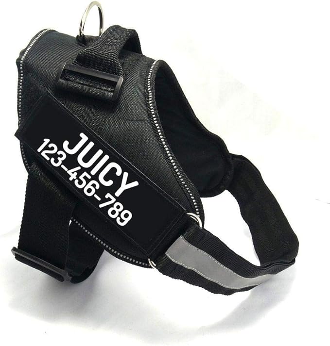 PawPawify Custom No Pull Dog Harness with Name and Phone Number, Heavy Duty Personalized Pet Vest to Prevent Tugging, Pulling, or Choking, Training and Walking (Black, M (20-40 LBS))