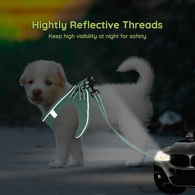 BELLA & PAL Step in Vest Harness for Small and Medium Dogs, No Pull Small Dog Harness with Leash Set, Comfortable Air Mesh Dog Vest Harness with Reflective Strip (Light Green, M)