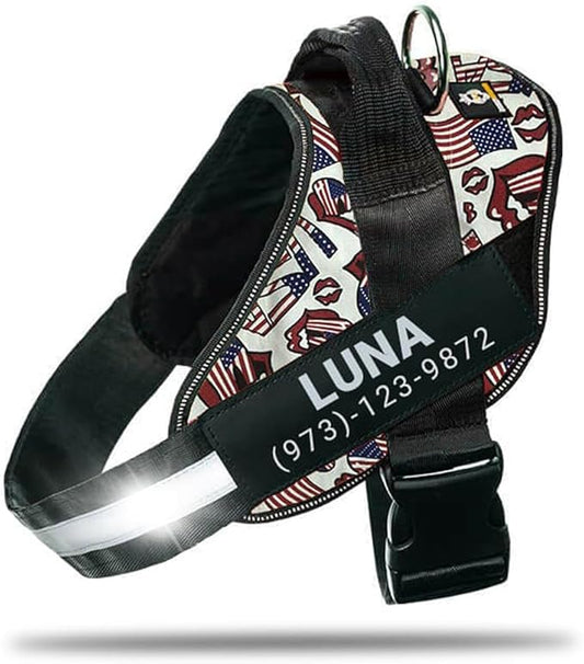Personalized No-Pull Dog Harness with Name Patch, Adjustable, Reflective, Padded, Heavy Duty Pet Vest to Prevent Tugging, Pulling, or Choking, Training and Walking, USA, XL