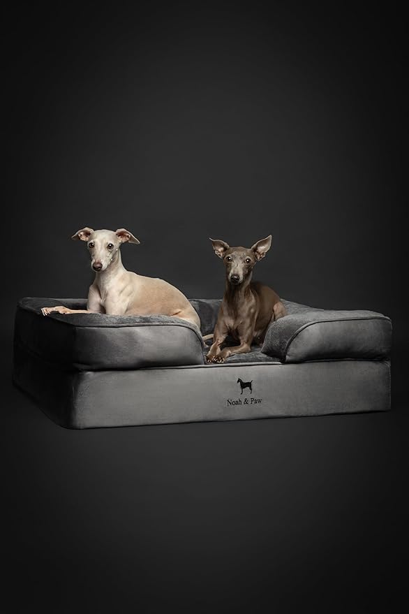 NOAH & PAW Large Dog Bed, 35x25x11 Inch, Orthopedic Dog Beds, Eggshell Memory Foam Infused with Cooling Gel, Inner Cover, Waterproof, Machine Washable (Velvet Sofa Collection)