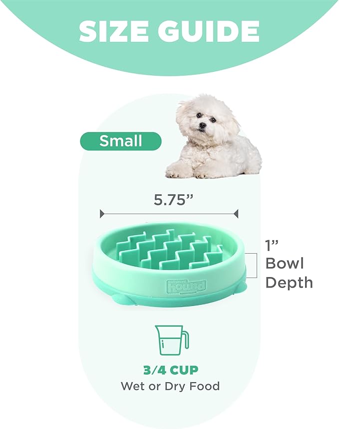 Outward Hound Small Fun Feeder Slow Bowl, Puzzle for Fast Eaters, Puppies, Cats & Small Dogs, Wet or Dry Food, Helps Prevent Bloat & Aid Digestion, 3/4 Cup Capacity, Non-Slip, Made Without BPA, Mint