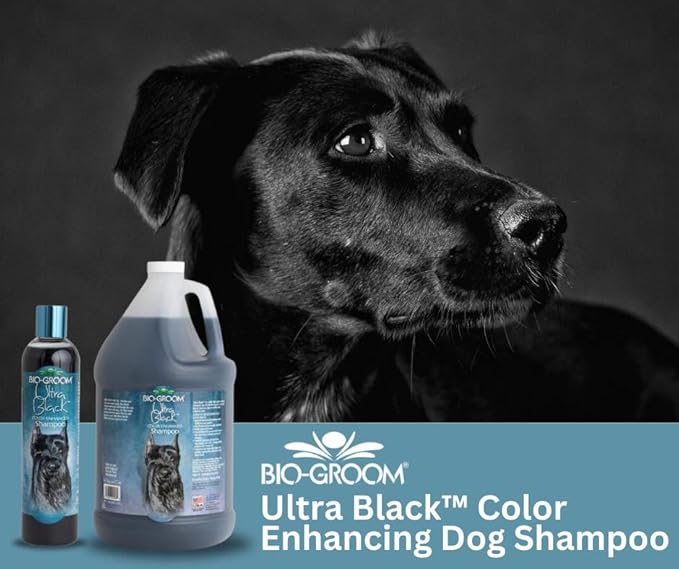 Bio-Groom Ultra-Black Dog Shampoo - Color Enhancing Pet Shampoo, Dog Bathing Supplies, Puppy Wash, Grooming Supplies, Cruelty-Free, Made in USA, Coat Brightener - 1 Gallon