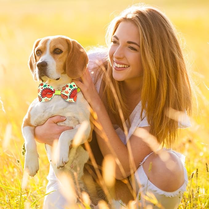 Eccliy 50 Pcs Fall Dog Bow Ties Collars for Dogs Adjustable Autumn Dog Bow Ties Neckties Set Thanksgiving Puppy Bows Grooming with Pumpkin Turkey Maple Leaves Pattern for Puppy Grooming Accessories