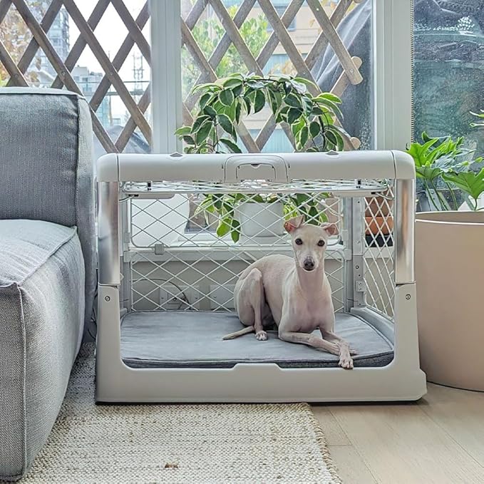 DIGGS Snooz Memory Foam Dog Bed - Ideally Sized Revol Dog Crate Pad - Premium Orthopedic Pet Bed for Crate or Home - Grey, Small