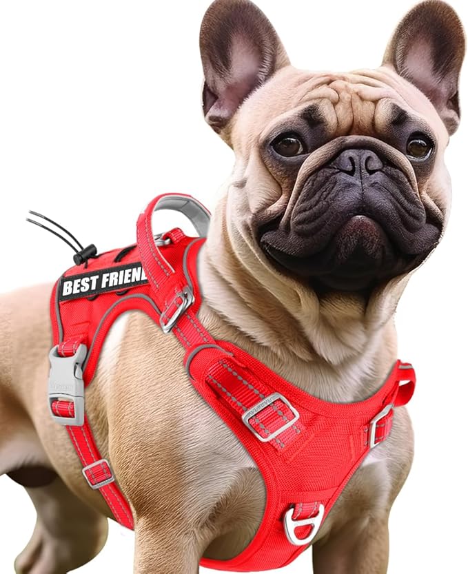 BARKBAY Service Dog Vest Tactical Dog Harness Medium Large Sized Dog Tags Personalized No Pull Adjustable Harness Reflective K9 Working Training Easy Control Military Molle System(Red,S)