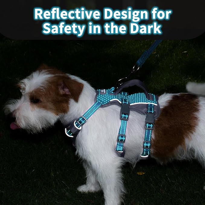 Huntboo Reflective Dog Harness with Handle, Escape Proof, No Slip, Breathable, Lightweight, Adjustable Lift Harness for Small, Medium, and Large Dogs Walking, Training, and Running Gear(Teal Blue,XS)