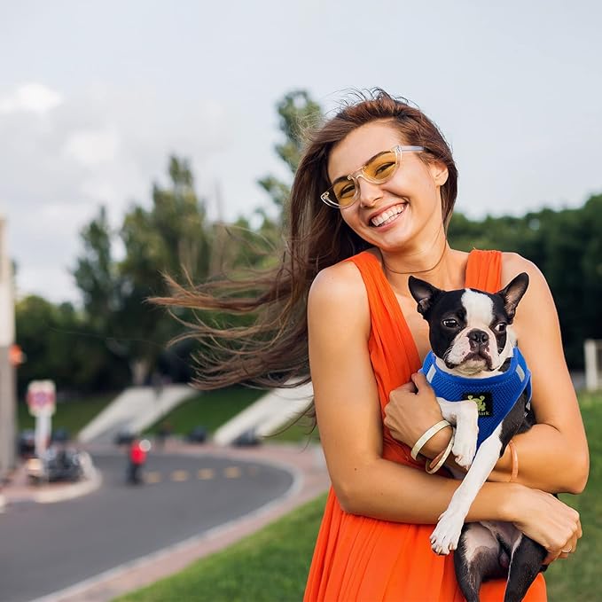 EcoBark Step in Dog Harness - Reflective Soft Luxurious Mesh Dog Harnesses for XXS, XS, Small, and Medium Dogs - Eco-Friendly Comfort Secure Halter No Pull Adjustable Pet Vest (Royal Blue, XS)