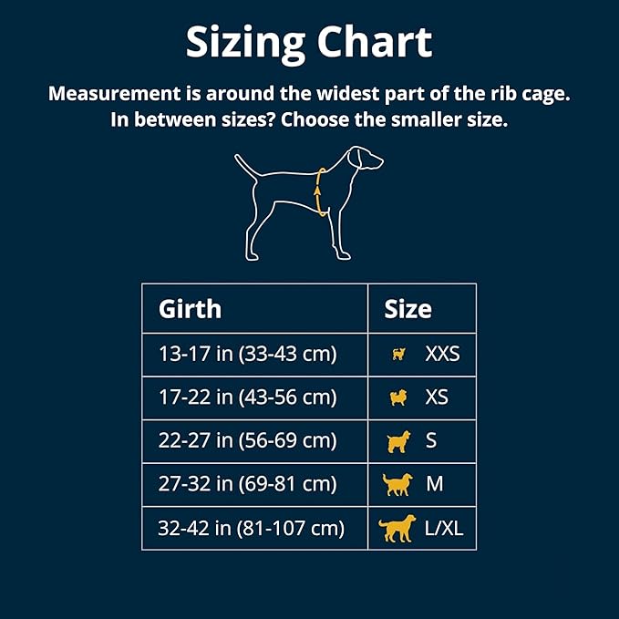 Ruffwear, Web Master, Multi-Use Support Dog Harness, Hiking and Trail Running, Service and Working, Everyday Wear, Blaze Orange, Large/X-Large