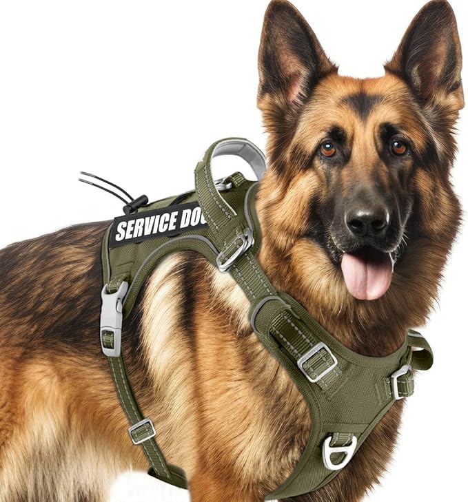 BARKBAY Service Dog Vest Tactical Dog Harness Medium Large Sized Dog Tags Personalized No Pull Adjustable Harness Reflective K9 Working Training Easy Control Military MolleSystem(Army Green,XL)
