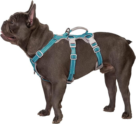 Huntboo Escape Proof Dog Harness, Escape Artist Harness, Fully Reflective Harness with Padded Handle, Breathable, Durable, Adjustable Vest for Small Dogs Walking, Training, and Running Gear (Teal,S)