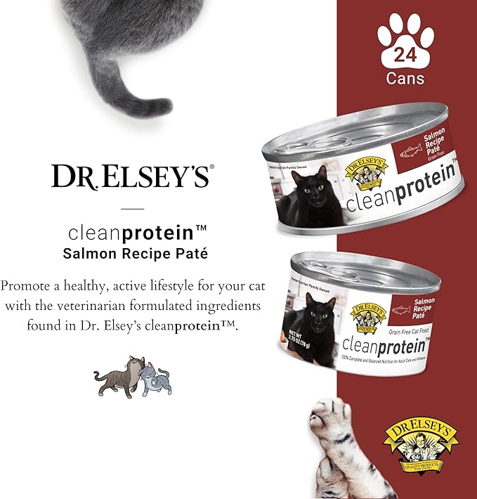 Dr. Elsey's cleanprotein Salmon Recipe Wet Cat Food, Pate 5.3 oz cans (Pack of 24)