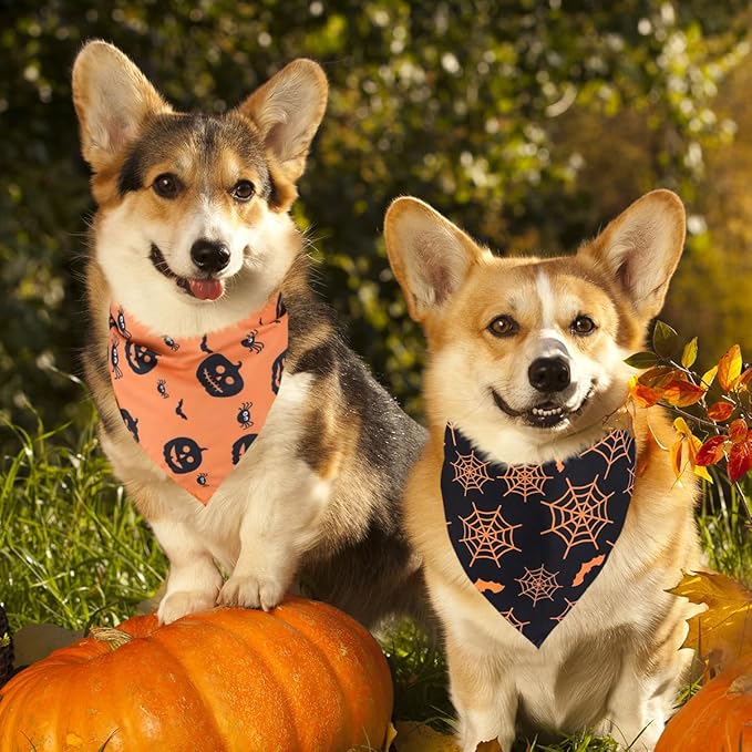 Kytely Halloween Dog Bandanas 2 Pack, Reversible Triangle Dog Bandanas for Boy and Girl, Multiple Sizes Offered, Pumpkin and Spider Web Bibs Fall Pet Scarf, Premium Durable Fabric (Small)