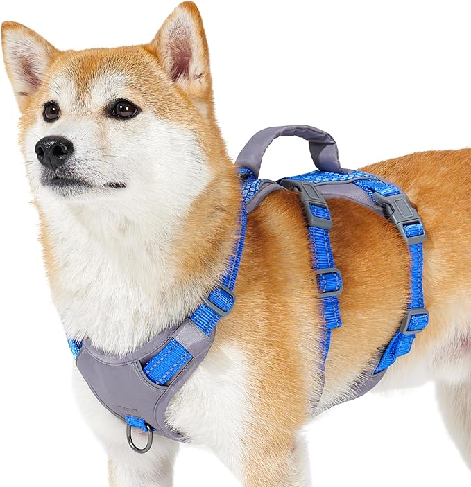 Huntboo Reflective Dog Harness with Handle, Escape Proof, No Slip, Breathable, Lightweight, Adjustable Lift Harness for Small, Medium, and Large Dogs Walking, Training, and Running Gear(Sea Blue,S)