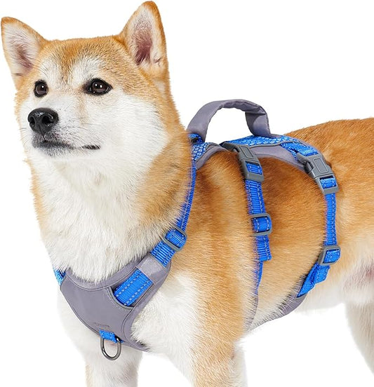 Huntboo Reflective Dog Harness with Handle, Escape Proof, No Slip, Breathable, Lightweight, Adjustable Lift Harness for Small, Medium, and Large Dogs Walking, Training, and Running Gear(Sea Blue,S)