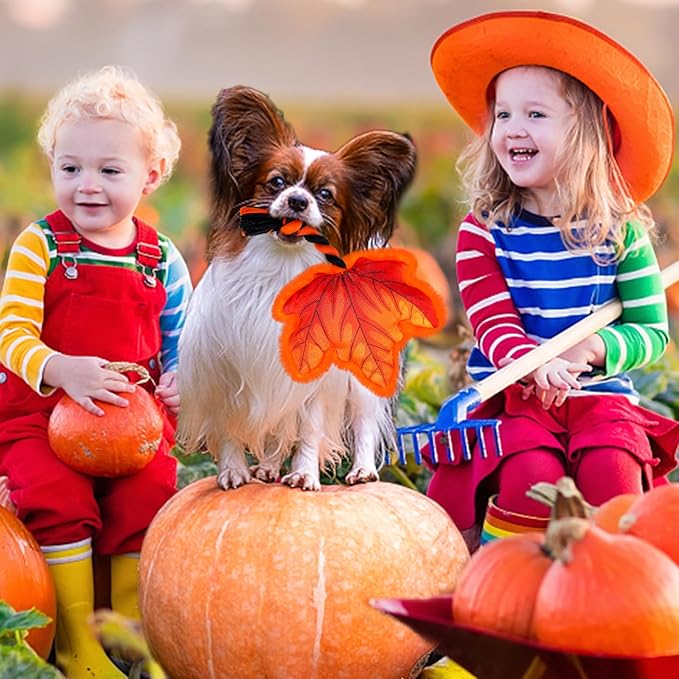 Thanksgiving Dog Toys, Maple Leaf Fall Dog Toys with Cotton Rope and Squeaker, Thanksgiving Dog Gifts for Small and Medium Dogs