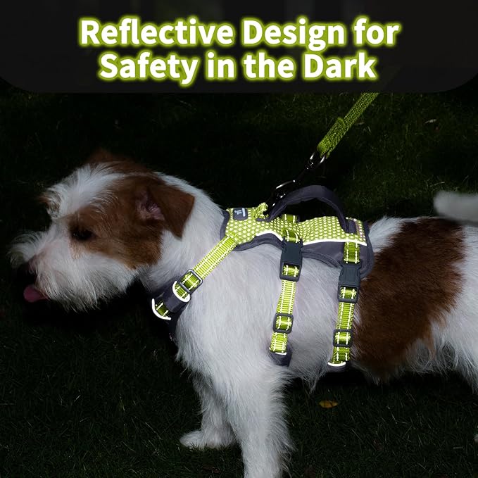 Huntboo Reflective Dog Harness with Handle, Escape Proof, No Slip, Breathable, Lightweight, Adjustable Lift Harness for Small, Medium, and Large Dogs Walking, Training,and Running Gear(Bright Green,S)