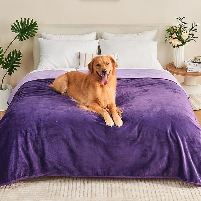 Waterproof Blanket 80"x90" for Adults, Reversible Waterproof Bed Cover for Dogs Cats Pets, Soft Leakproof Blanket for Bed Couch Sofa Furniture Protector, Dark Purple/Light Purple