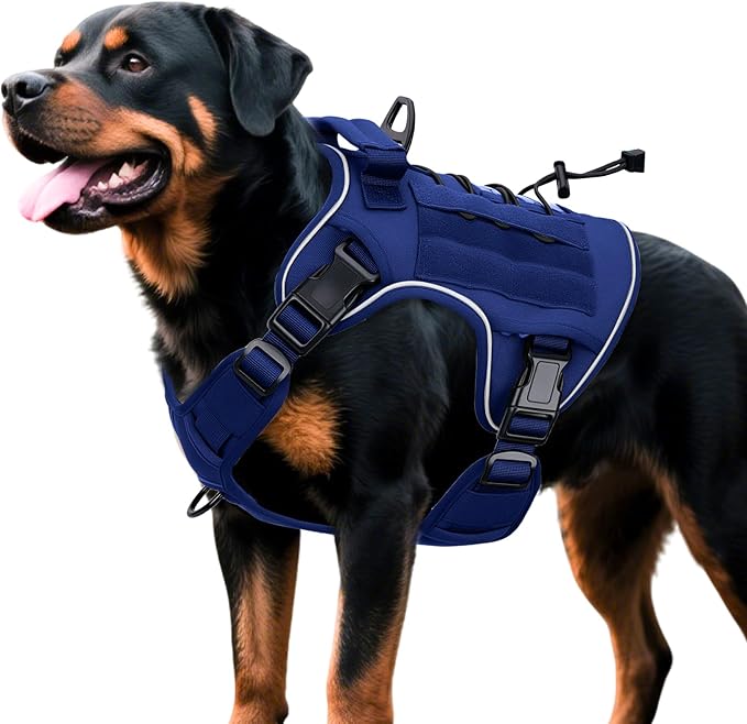 Heavy-Duty Tactical Dog Harness for Large Dogs, No Pull Adjustable Reflective Pet Vest with Molle System, K9 Military-Grade Control for Service Training, Outdoor & 10+ Breeds, Dazzling Blue, XX-Large