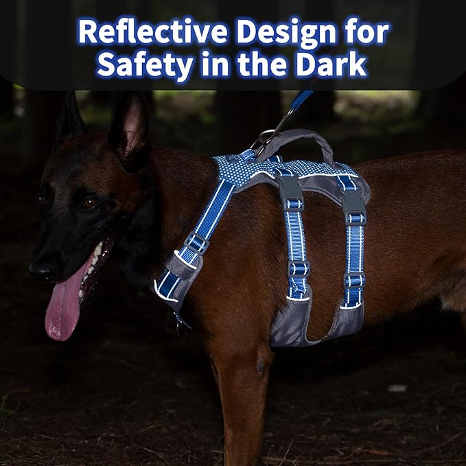 Huntboo Reflective Dog Harness with Handle, Escape Proof, No Slip, Breathable, Lightweight, Adjustable Lift Harness for Small, Medium, and Large Dogs Walking, Training, and Running Gear(Sea Blue,M)