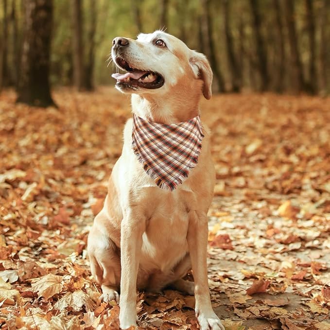 Kytely 2 Pack Fall Dog Bandanas X-Large Thanksgiving Dog Bandana Orange Plaid Pet Scarf for Boy and Girl Triangle Bibs for Large XL Dogs