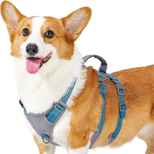 Huntboo Reflective Dog Harness with Handle, Escape Proof, No Slip, Breathable, Lightweight, Adjustable Lift Harness for Small, Medium, and Large Dogs Walking, Training, and Running Gear(Teal Blue,M)