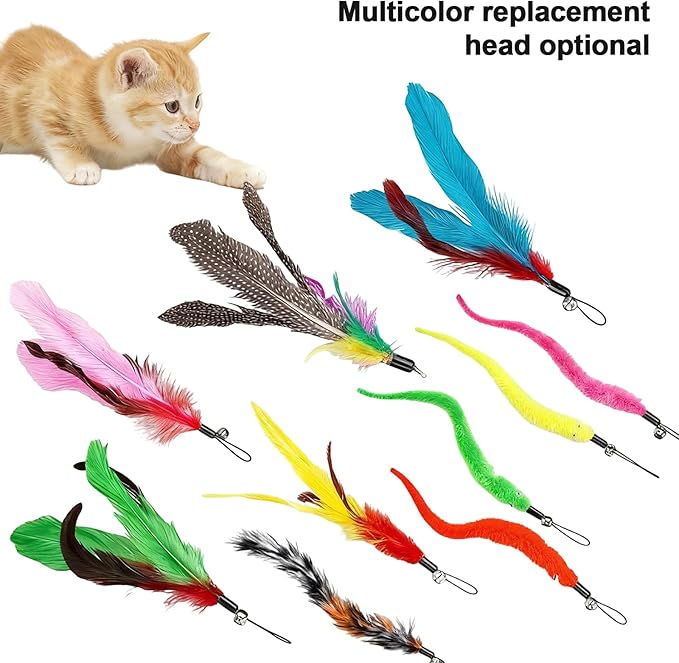 Walfront Interactive Cat Toys for Indoor Cats, 12PCS Kitten Toy Set with 2 Retractable Wands & Feather Teasers, Fun Chase and Exercise Toys to Keep Cats Active and Healthy