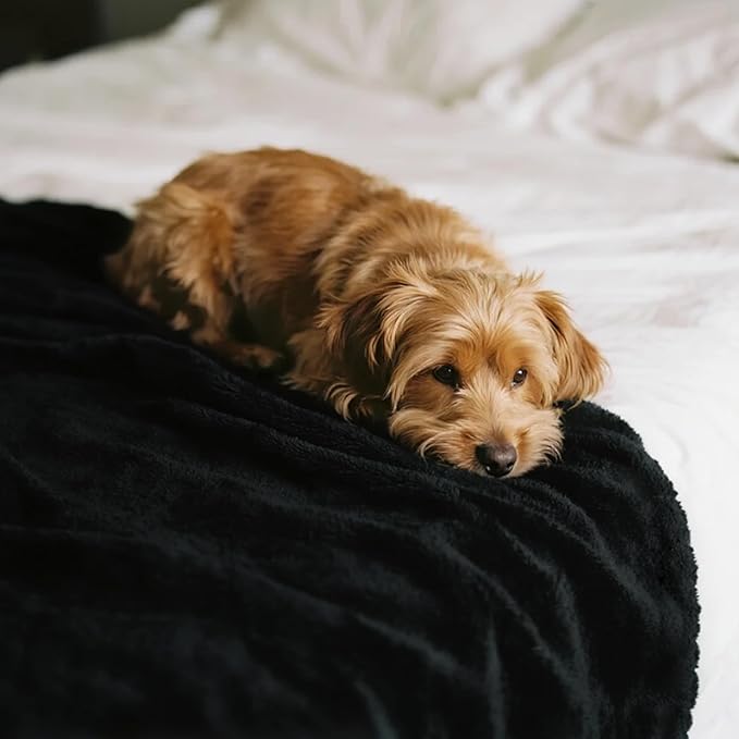 gogobunny Waterproof Bed Blanket, Reversible Sherpa Fleece Throw Blanket for Dog Puppy Cat, Furniture Cover Protects Bed Couch Sofa from Liquid Pee and Pet Fur (Black, 90x108 inches)