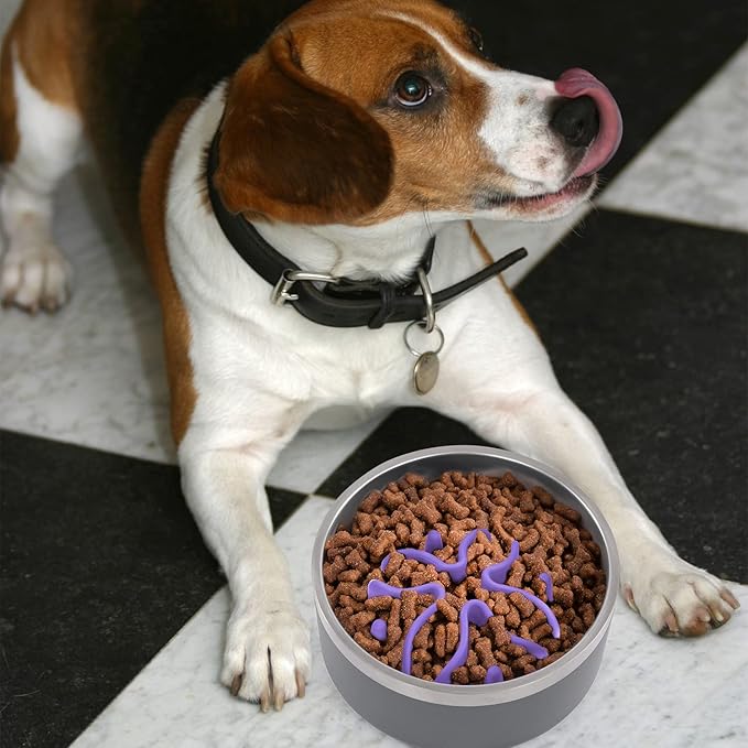 Jaoul Slow Feeder Dog Bowls Insert, Puzzle Slow Feeder Insert with 30 Octopus Suction Cups for Small Medium Large Size Dog Food Bowl (4.72 inch, Purple)