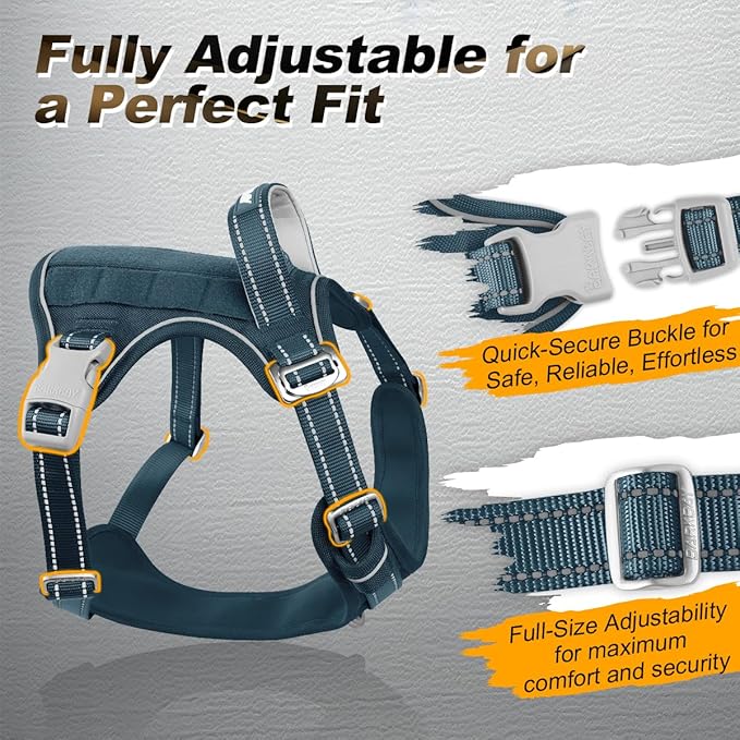 BARKBAY Service Dog Vest Tactical Dog Harness Medium Large Sized Dog Tags Personalized No Pull Adjustable Harness Reflective Working Training Easy Control Military Molle System(Legion Blue,M)