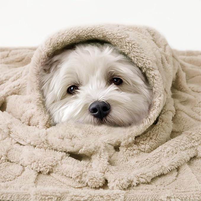 Luciphia Small Dog Blanket Washable Pet Bed Cover Soft Fluffy Puppy Blanket with Premium Fleece 300GSM Cozy Calming Cat Blankets for Indoor Cats Beige 30x20 inch