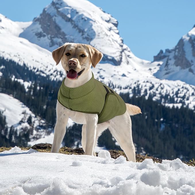 Queenmore Small Dog Sweaters, Soft Fleece Vest Pullover Dog Jacket with Leash Hole, Warm Winter Dogs Clothes Cold Weather Doggy Dachshund Sweater for Small Dogs Cats Boy or Girl (Army Green, XS)