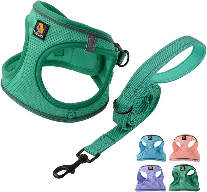 BELLA & PAL Small Emerald Dog Harness with Leash Set, No Pull, Step in Design, Reflective, Lightweight Mesh, S