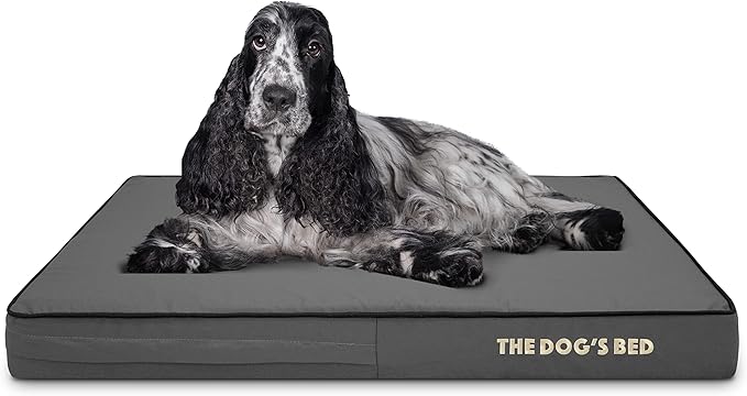 The Dog’s Bed Orthopedic Memory Foam Dog Bed, Medium Grey & Black, Waterproof, Supportive Dog Bed with Replaceable Covers