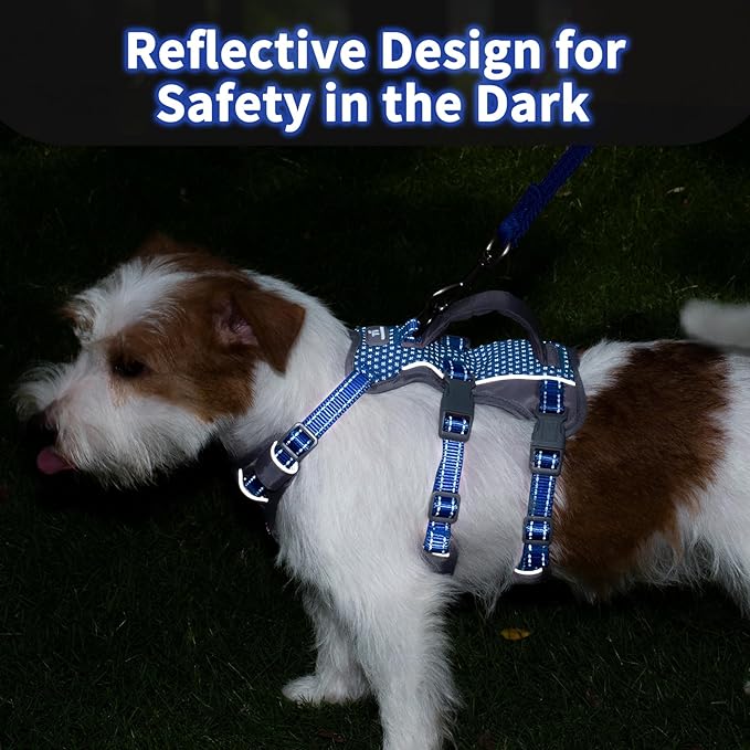 Huntboo Reflective Dog Harness with Handle, Escape Proof, No Slip, Breathable, Lightweight, Adjustable Lift Harness for Small, Medium, and Large Dogs Walking, Training, and Running Gear(Sea Blue,S)