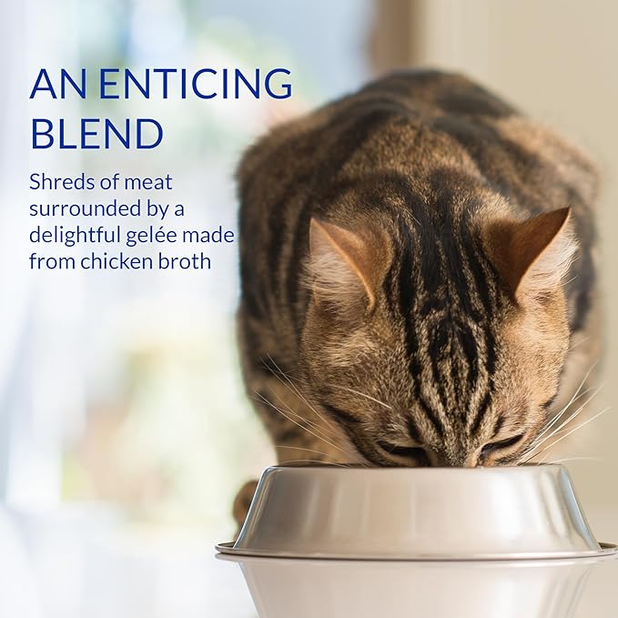 INABA Churu Stew for Cats, Broth Gelée with Shredded Chicken Side Dish with Vitamin E, 1 Ounce per Pouch, 15 Pouches Total, Chicken Variety Pack