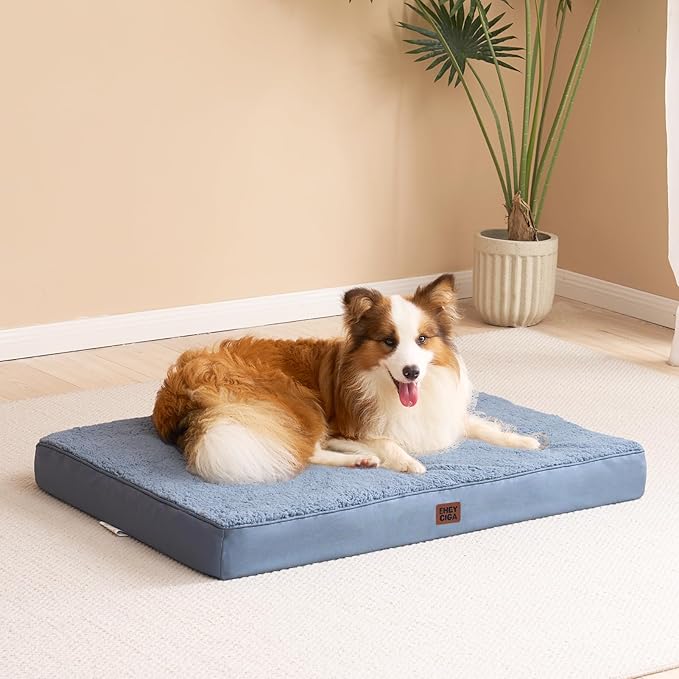 EHEYCIGA Orthopedic XXL Dog Beds for Jumbo Dogs with Removable Washable Cover,Spa Blue, 50x36